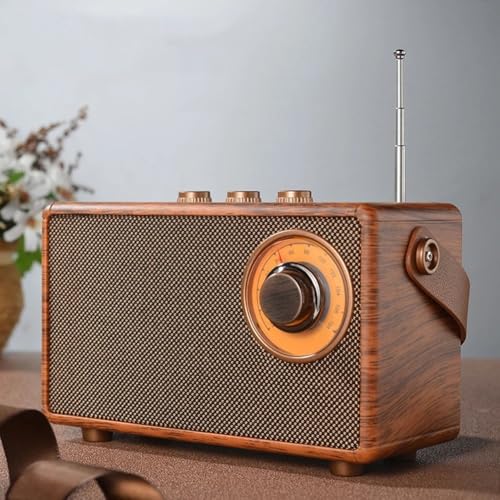 RANRAO Retro-FM-Radio, Desktop-Lautsprecher, Bluetooth-kompatibel, 5.1, kreativer tragbarer Lautsprecher, High-Fidelity, mit TF-Karte von RANRAO