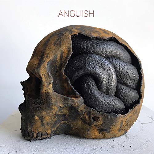 Anguish [Vinyl LP] von RARE NOISE