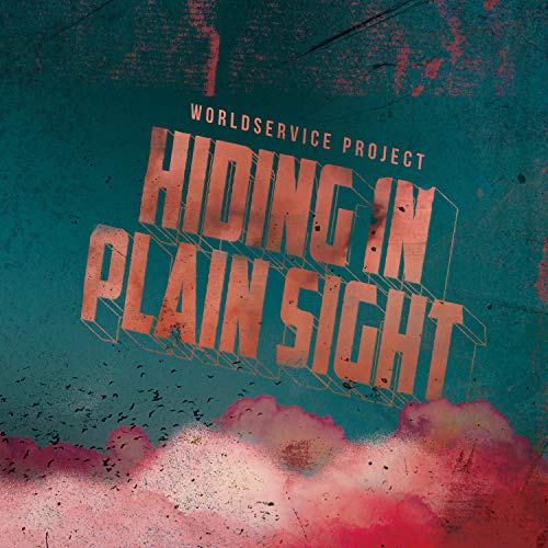 Hiding in Plain Sight [Vinyl LP] von RARENOISE