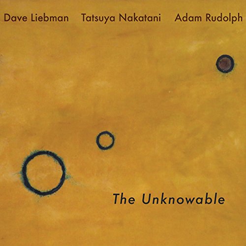 The Unknowable [Vinyl LP] von RARENOISE