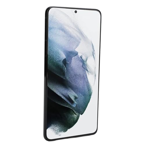 RASTKY 6,7 -Zoll -Telefonersatzbildschirm für Plus 5G - LCD Touch Digitizer Display -Montage mit Fingerabdruckrahmen und Komplettem Werkzeugkit - Installation für G996B EU -Version (Black) von RASTKY
