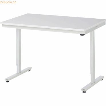 Rau Arbeitstisch 1250x800x720-1120 elektrisch M-Platte 22mm lichtgrau Rau Arbeitstisch 1250x800x720-1120 elektrisch M-Platte 22mm lichtgrau von RAU