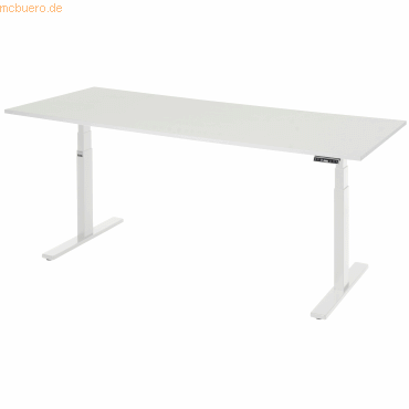 Rau Schreibtisch adlatus 100 2000x800x650-1300 M-Platte lichtgrau Rau Schreibtisch adlatus 100 2000x800x650-1300 M-Platte lichtgrau von RAU