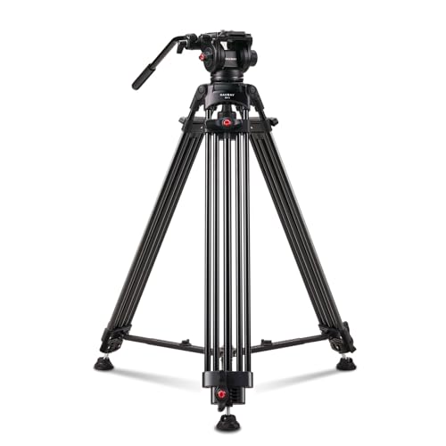 【Neigungsspannung-Design】 RAUBAY 179,8 cm Professionelle robuste Videokamera-Stativ mit Flüssigkeitskopf und QR-Platte, maximale Belastung 8 kg, Aluminium-Doppelrohr-Bein mit mittlerem Spreader DV-1 【Neigungsspannung-Design】 RAUBAY 179,8 cm Professionelle robuste Videokamera-Stativ mit Flüssigkeitskopf und QR-Platte, maximale Belastung 8 kg, Aluminium-Doppelrohr-Bein mit mittlerem Spreader DV-1 von RAUBAY