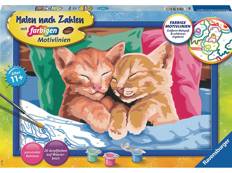 RAVENSBURGER Verschmuste Kätzchen Malen nach Zahlen Erwachsene von RAVENSBURGER