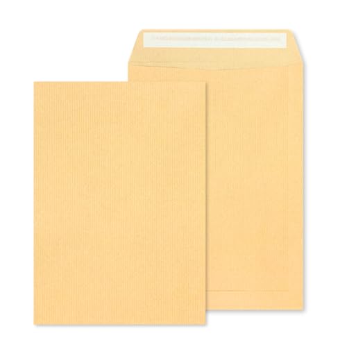 RAYLU PAPER - Packung mit großen Kraftpapier-Umschlägen mit Haftklebung zum Versenden von Dokumenten, schnell und einfach zu versiegeln, 90g/m² stark (4. verlängert, 250 Stück) von RAYLU PAPER