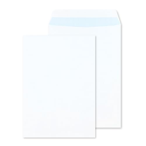 RAYLU PAPER - Packung mit großen weißen Briefumschlägen aus Papier mit Haftklebung zum Versenden von Dokumenten, einfach und schnell versiegelt, 100g/m² stark (Langes Folio, 10 Stück) von RAYLU PAPER