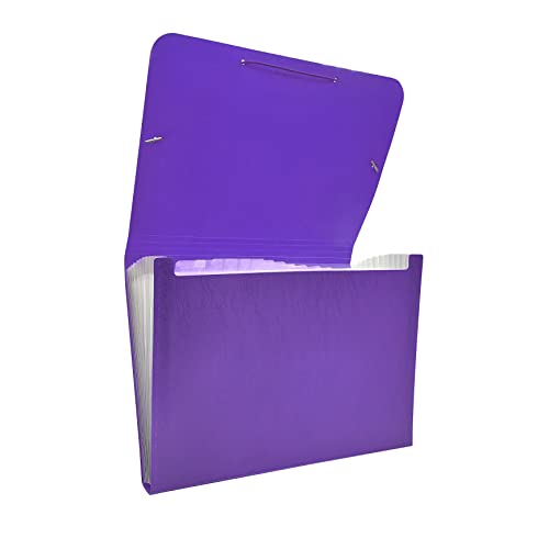 Raylu Paper® - Akkordeon-Sortiermappe mit 12 Fächern, blickdichter Kunststoff-Ordner mit Trennwänden für Büro (Violett) von RAYLU PAPER