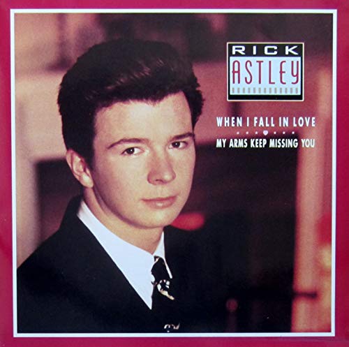 When I Fall In Love (incl.My Arms Keep... Dub Mix) [Vinyl Single] von RCA