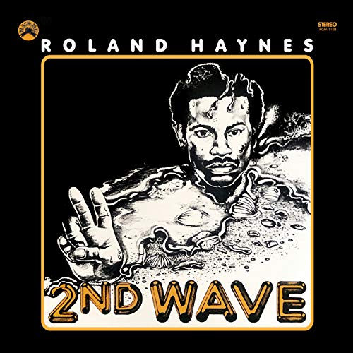 Second Wave [Vinyl LP] von REAL GONE