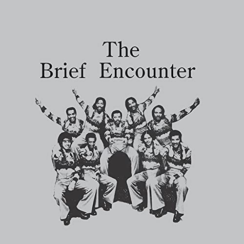 Introducing the Brief Encounter [Vinyl LP] von REC84