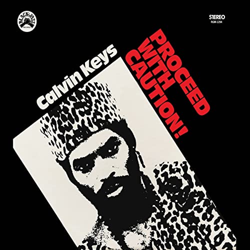 Proceed With Caution [Vinyl LP] von REC84