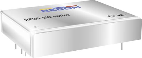 RECOM RP30-2412DEW DC/DC-Wandler 1.25A 30W Anzahl Ausgänge: 2 x Inhalt 1St. von RECOM