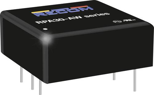 RECOM RPA30-2405SAW/P DC/DC-Wandler 6A 30W Anzahl Ausgänge: 1 x Inhalt 1St. von RECOM