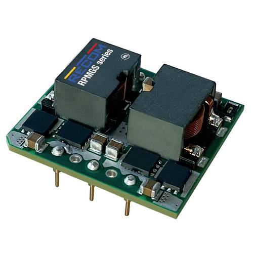 RECOM RPMGS12-20 DC/DC-Wandler 12V 20A 240W Inhalt 1St. von RECOM