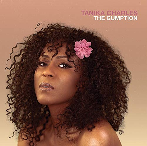 The Gumption [Vinyl LP] von RECORD KICKS