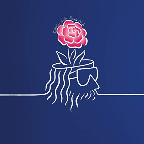 Simple Mind [Vinyl LP] von RECORD MAKERS