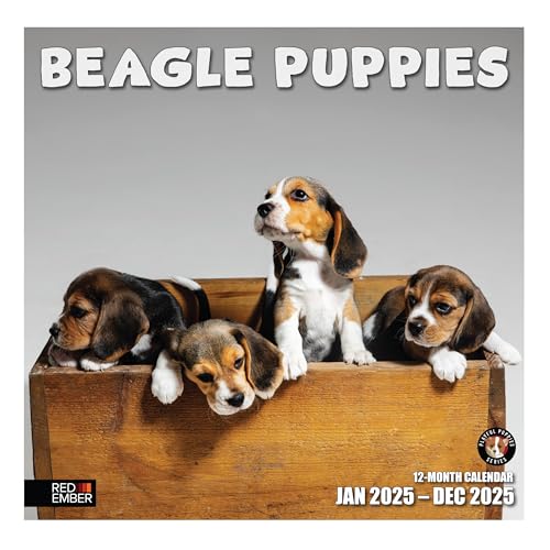RED EMBER Beagle Puppies Wandkalender 2025, 12 Monate, 30,5 x 61 cm offen, dickes & stabiles Papier, Geschenk, Hundekalender 2025 RED EMBER Beagle Puppies Wandkalender 2025, 12 Monate, 30,5 x 61 cm offen, dickes & stabiles Papier, Geschenk, Hundekalender 2025 von RED EMBER