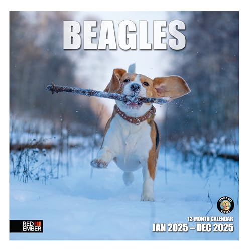 RED EMBER Beagles Monats-Wandkalender 2025, zum Aufhängen, 30,5 x 61 cm, dickes und stabiles Papier, Geschenk, Jagdhund, It's a Beagle Jubilee RED EMBER Beagles Monats-Wandkalender 2025, zum Aufhängen, 30,5 x 61 cm, dickes und stabiles Papier, Geschenk, Jagdhund, It's a Beagle Jubilee von RED EMBER