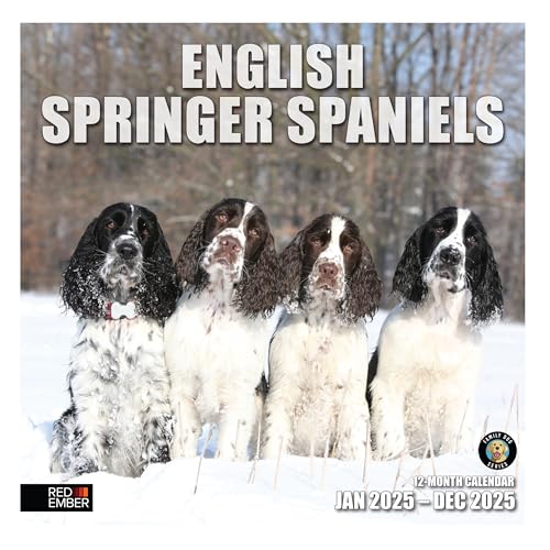 RED EMBER Englischer Springer Spaniels Wandkalender 2025, 12 Monate, 30,5 x 61 cm offen, dickes und stabiles Papier, Geschenk, Kalender 2025 RED EMBER Englischer Springer Spaniels Wandkalender 2025, 12 Monate, 30,5 x 61 cm offen, dickes und stabiles Papier, Geschenk, Kalender 2025 von RED EMBER