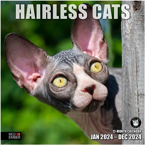 RED EMBER Hairless Cats 2024 Monatlicher Wandkalender zum Aufhängen, 30,5 x 61 cm offen, dickes und stabiles Papier, Geschenk von RED EMBER