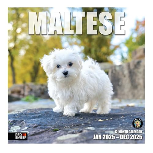 RED EMBER Malteser Wandkalender 2025, 12 Monate, 30,5 x 61 cm offen, dickes und stabiles Papier, Geschenk, Kalender 2025 RED EMBER Malteser Wandkalender 2025, 12 Monate, 30,5 x 61 cm offen, dickes und stabiles Papier, Geschenk, Kalender 2025 von RED EMBER