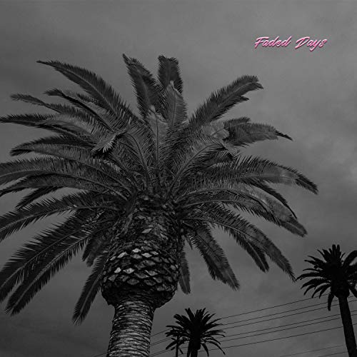 Faded Days [Vinyl LP] von Red House