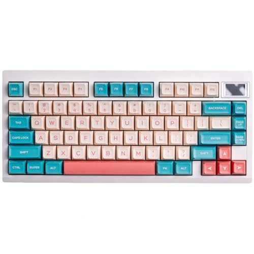 PBT-Tastenkappen-Set – Candy Keycap-Set Double Shot PBT Keycaps RSA Profile 160 Tasten Custom Keycaps Set für mechanische Tastatur-Tastenkappen von REDQIN