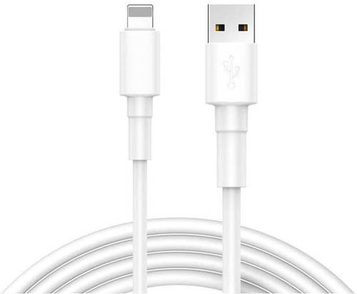 REEKIN [1x USB 2.0 Stecker A - 1x Apple Lightning-Stecker] 1.00m Weiß von REEKIN