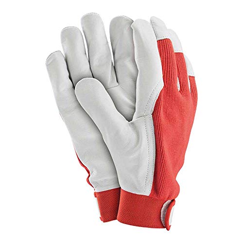 Reis RLTOPER-REVEL10 Topgekon Schutzhandschuhe, Rot-Weiß, 10 Größe, 12 Stück Reis RLTOPER-REVEL10 Topgekon Schutzhandschuhe, Rot-Weiß, 10 Größe, 12 Stück von REIS