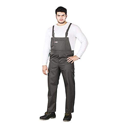 Reis SMS_48 Master Schutzlatzhose, Grau/Stahl Blau, 48 Größe von REIS