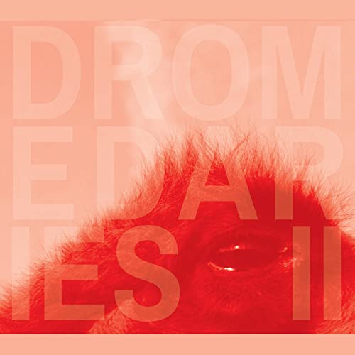 Dromedaries II von RELATIVE PITCH