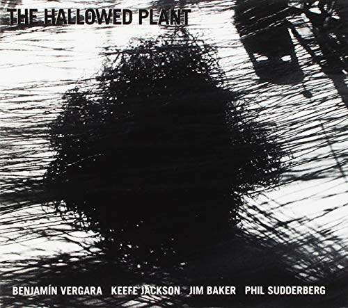 Hallowed Plant von RELATIVE PITCH