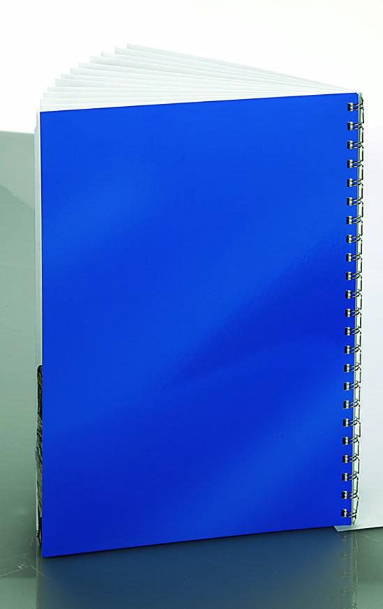 RENZ Rückwände für Bindemappen DIN A4 250 g/qm blau/weiß von RENZ