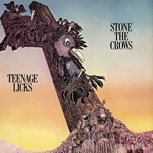Teenage Licks Teenage Licks von REPERTOIRE