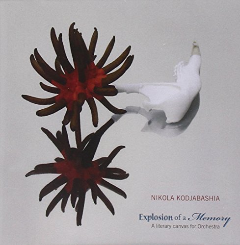 Explosion of a Memory Explosion of a Memory von RER