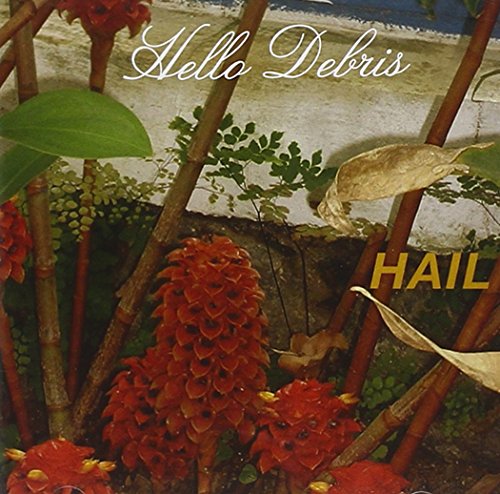 Hello Debris Hello Debris von RER