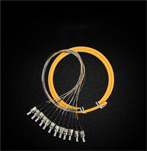 RGFDLJN 12-adriges 1,5 m langes ST-Glasfaser-Pigtail-Bündel – 9/125 µm Singlemode-Kabel RGFDLJN 12-adriges 1,5 m langes ST-Glasfaser-Pigtail-Bündel – 9/125 µm Singlemode-Kabel von RGFDLJN