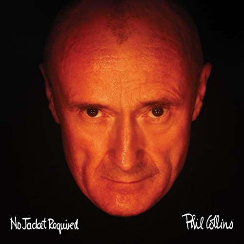 No Jacket Required (Deluxe Edition) [Vinyl LP] von RHINO (PURE)