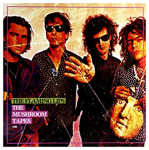 The Mushroom Tapes [Vinyl LP] von RHINO (PURE)