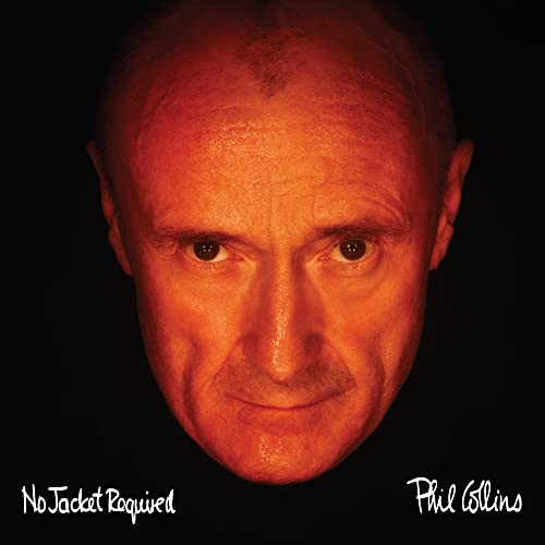 No Jacket Required [Vinyl LP] von RHINO RECORDS