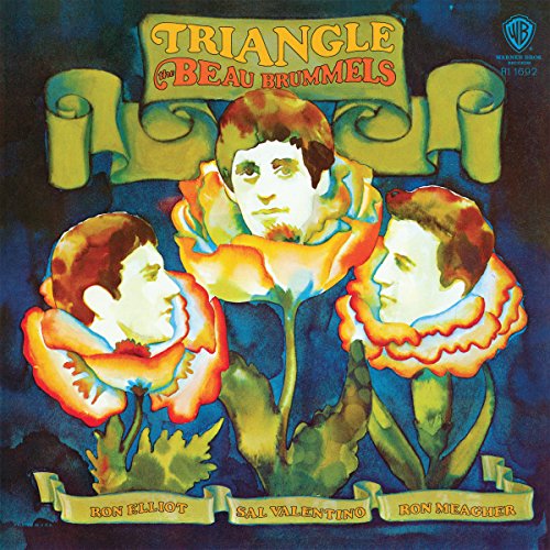 Triangle [Vinyl LP] von RHINO WARNER