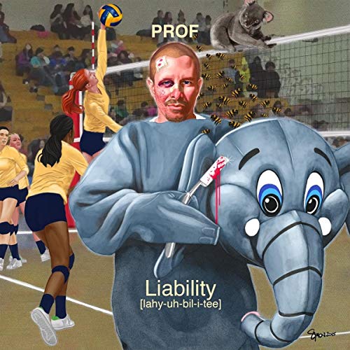 Liability von Rhymesayers