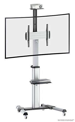 RICOO TV Ständer Rollbar Höhenverstellbar Universal für 40-75 Zoll, Fernsehständer mit Rollen FS0444, Stand Fernseh Standfuß Fernseher Standfuss bis 50 Kg, max. VESA 400x400 mm, TV Standfüße von RICOO