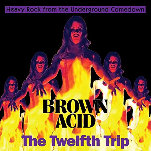 Brown Acid: the 12th Trip (Black) von RIDING EASY