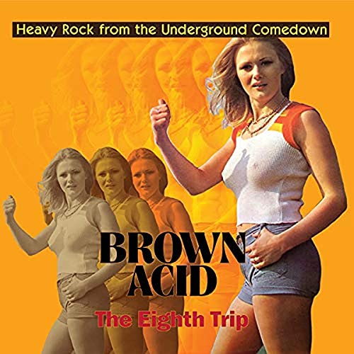 Brown Acid: the Eighth Trip [Vinyl LP] von RIDING EASY