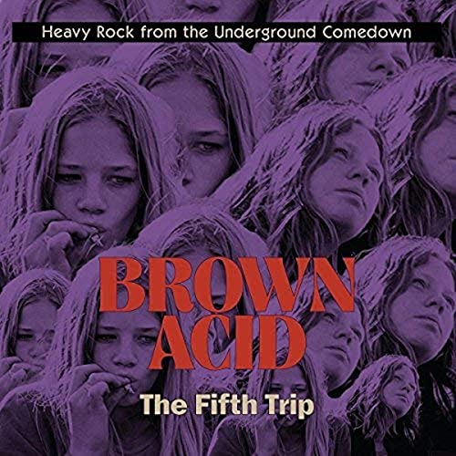 Brown Acid: the Fifth Trip [Vinyl LP] von RIDING EASY