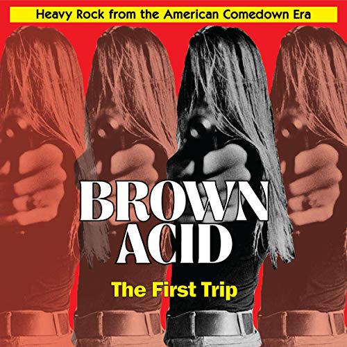 Brown Acid: the First Trip [Vinyl LP] von RIDING EASY