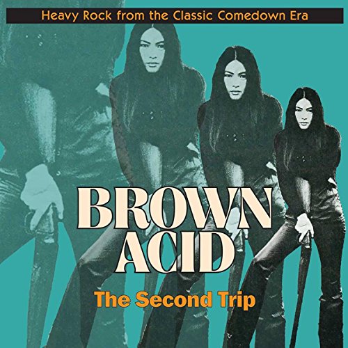 Brown Acid: the Second Trip [Vinyl LP] von RIDING EASY