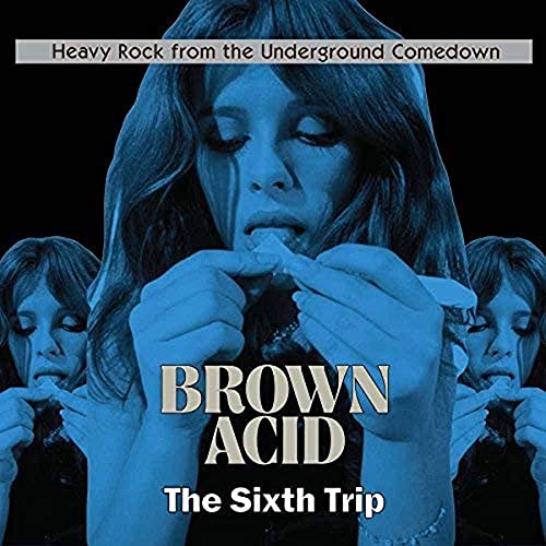 Brown Acid: the Sixth Trip [Vinyl LP] von RIDING EASY